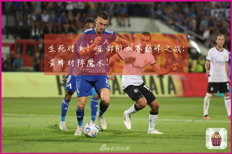 生死对决！东部附加赛巅峰之战：黄蜂对阵魔术！