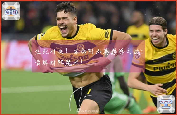 生死对决！东部附加赛巅峰之战：黄蜂对阵魔术！