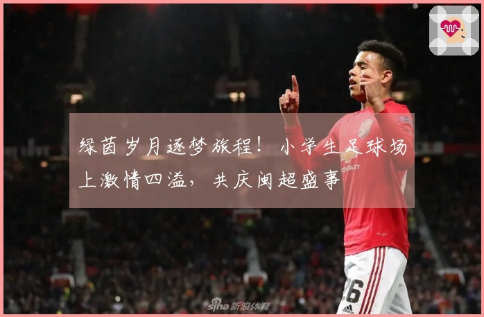 绿茵岁月逐梦旅程！小学生足球场上激情四溢，共庆闽超盛事