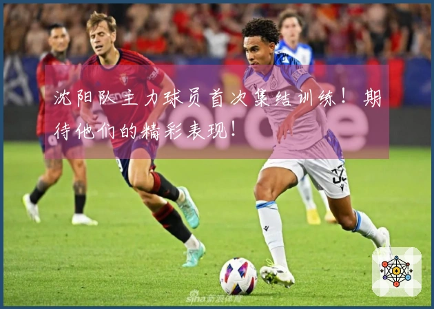 沈阳队主力球员首次集结训练！期待他们的精彩表现！